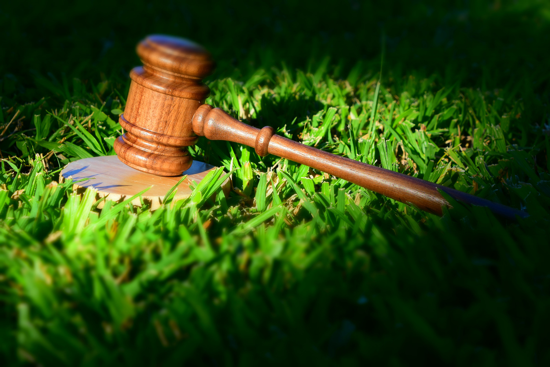 Environmental legislation